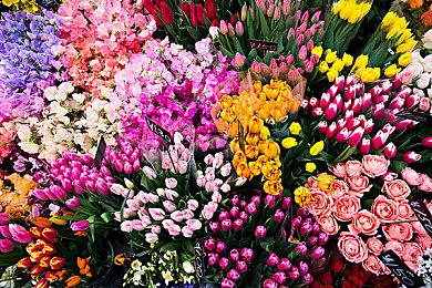 《上班摸鱼模拟器》Steam抢先体验 摸鱼工作享快乐